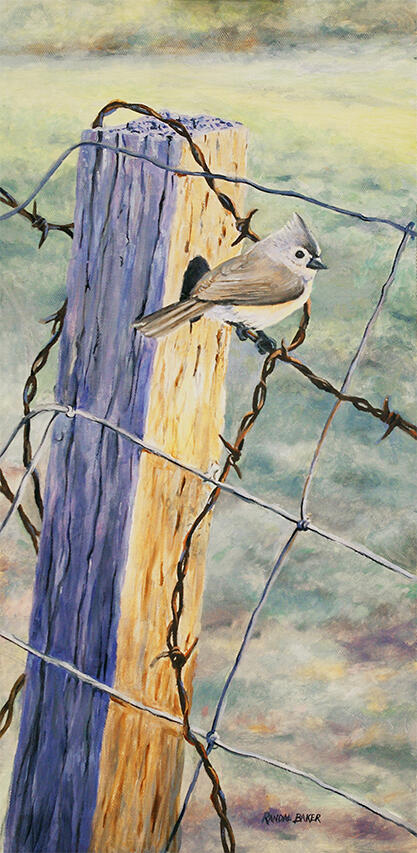 Bird On Fence Small